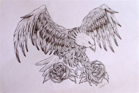 Eagle Tattoos Drawing