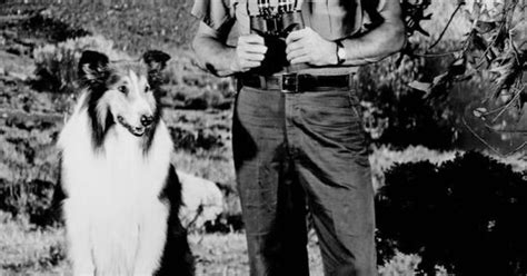 Robert Bray As Forest Ranger Corey Stuart With Lassie Lassie Pinterest