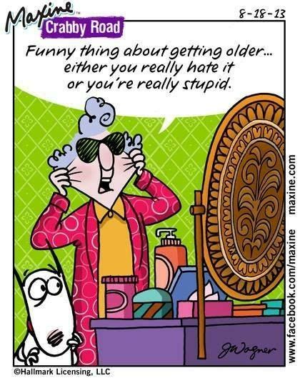 pin by karen pilkerton on maxine old age maxine maxine humor getting old