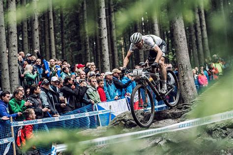 Au 49 Sannheter Du Ikke Visste Om Nino Schurter Nino Schurter Freut