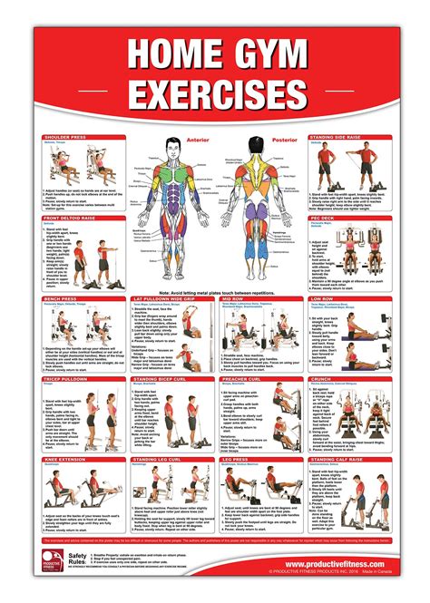 Home Gym Exercises Laminated Posterchart Home Gym Chart Home Gym Weight Lifting Routine