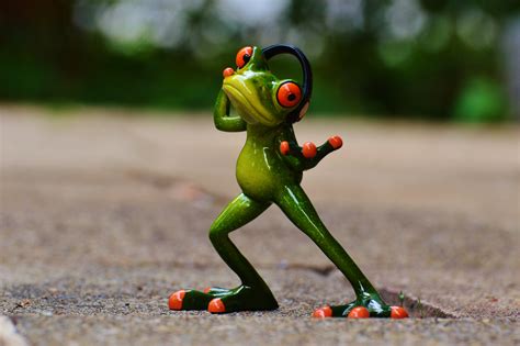 Free Images Music Animal Cute Dance Green Red Frog