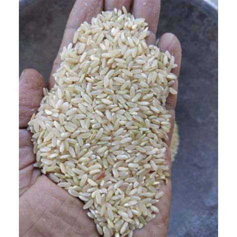 Short Grain Non Basmati Rice For Gluten Free Packaging Size 25kg At
