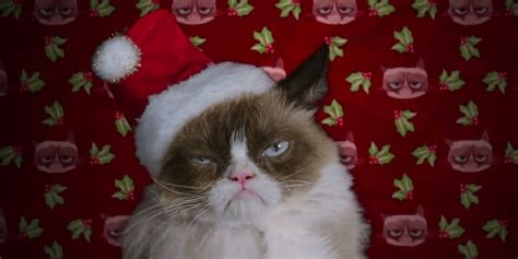 Grumpy Cat Movie Trailer Is Your Early Christmas T