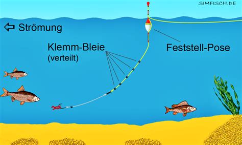 Posenmontage F R Fluss Simfisch De Angeln Und Outdoor