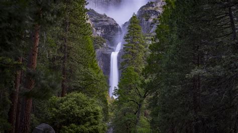 Waterfalls Desktop Wallpaper Forest Falls