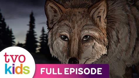 The Seven Sacred Laws Wolf Humility Full Episode Youtube