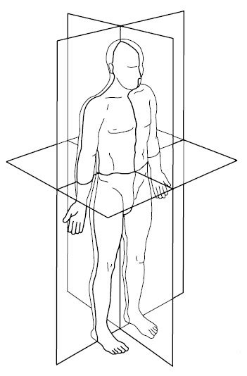 Body Planes Diagram Visual Diagram