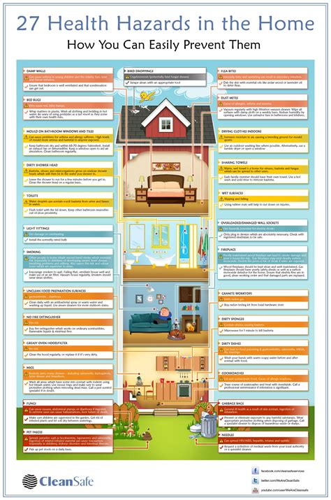 27 Health Hazards In The Home Visually