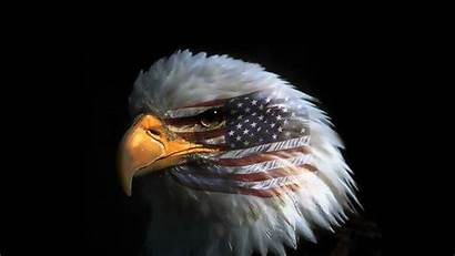 Eagle Flag American Eye Pc Phone Mobile
