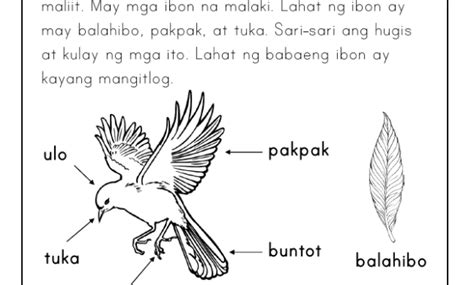 Pagbasa Filipino Reading Comprehension Worksheets For Grade 2 Reading