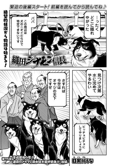 ぜにょん更新しました前後編につき特別更新織田シナモン信長第75話 ぜにょん さんのマンガ ツイコミ 仮