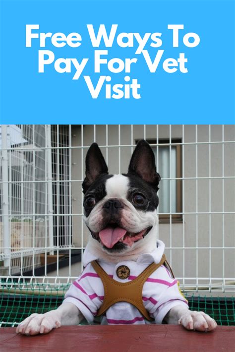 Learn more about coverage options to determine whether a policy is right for your pet. 5 Tips on How to Pay for Pet Medical Bills | Boston terrier, Pets, Medical billing