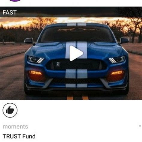 Stream Trust Fund Music Listen To Songs Albums Playlists For Free