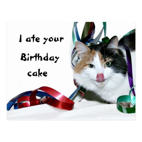 I Ate Your Birthday Cake Postcard Zazzle
