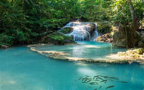 Download Wallpapers Erawan Falls Waterfall Blue Lake Rainforest