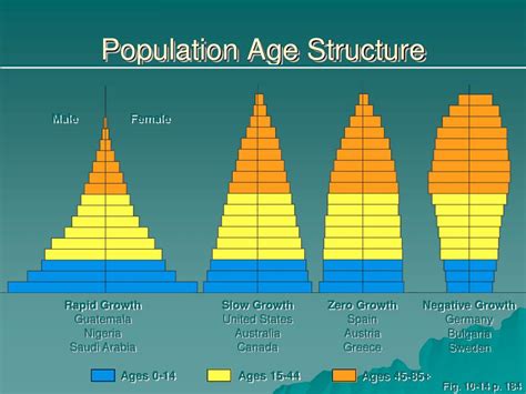 Ppt Chapter 8 Human Population Powerpoint Presentation Free Download
