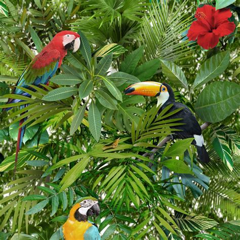 Exotic Birds Wallpaper Ebay