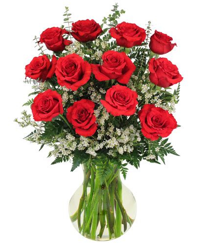 Red Roses And Wispy Whites Classic Dozen Roses In Benton Ar Twigs