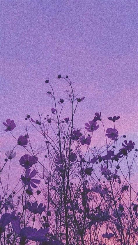 49 Iphone Lavender Aesthetic Wallpaper Bruh Background
