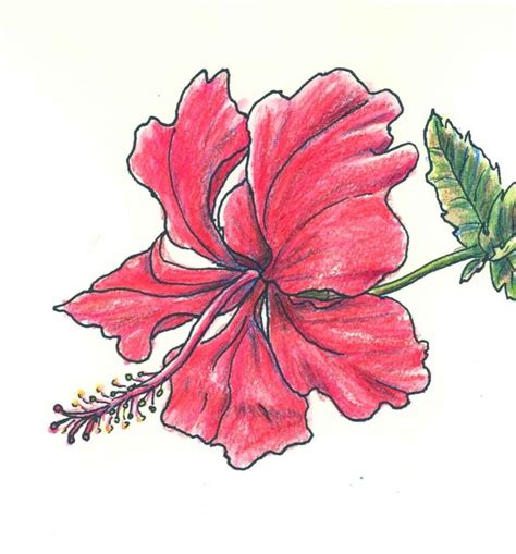 1001 Images De Dessin De Fleur Pour Apprendre à Dessiner Flower Drawing Flower Art Drawing