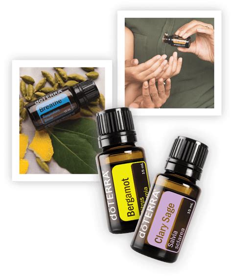 What Are Essential Oils Amboh