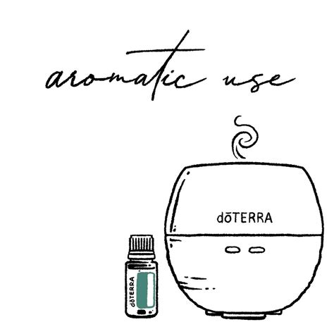 3 Ways To Use Your Oils • 🌿aromatic Diffuse Blends Of Oils Or Use