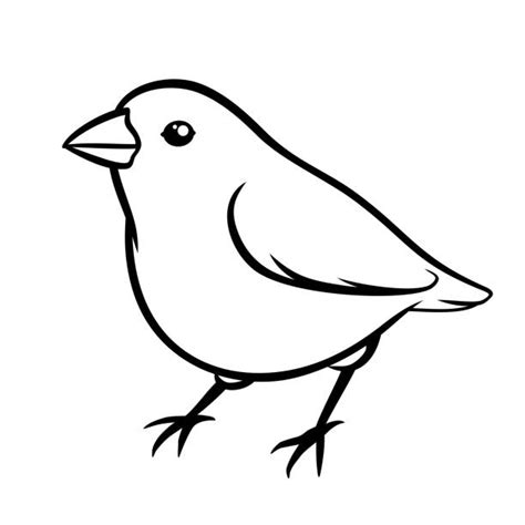 536227 Birds Illustrations Royalty Free Vector Graphics And Clip Art