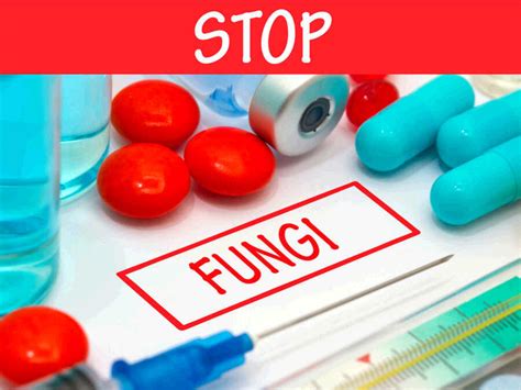 What Types Of Antifungal Drugs Are There Treating Fungus