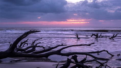 Driftwood On A Lovely Purple Beach Driftwood Beach Purple Sunset