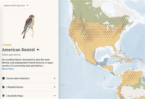 Fly With More Than 450 Bird Species On Their Annual Migrations With