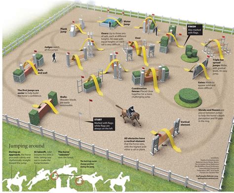 Infographic Design Horse Jumping Show Horses Show Jumping