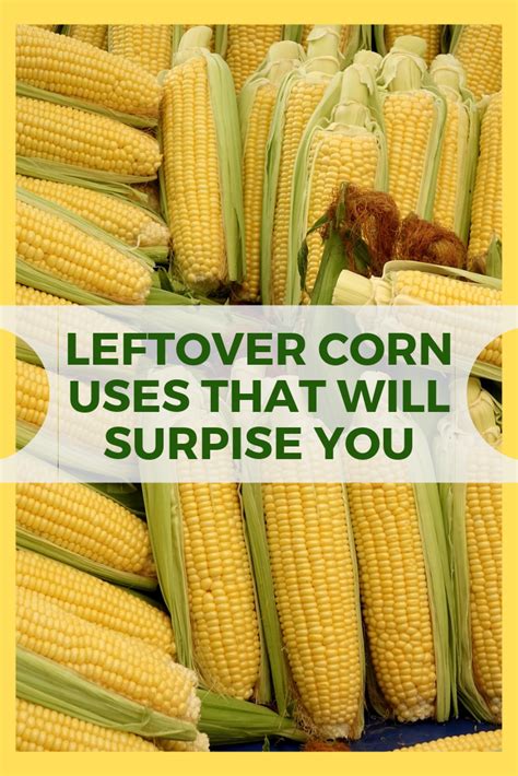 If that's not your thing, here are a few more ideas for how to use leftover cornbread. 12 Corn Recipes for Leftover Corn on The Cob (Sweet ...