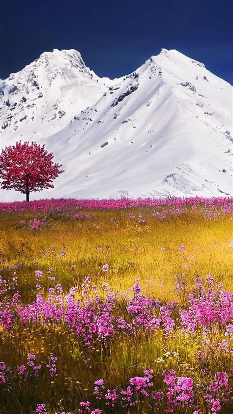 1080x1920 1080x1920 Autumn Fields Mountains Nature Flowers For