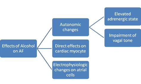 Different Mechanisms Of Alcohol Induced Atrial Fibrillation Download