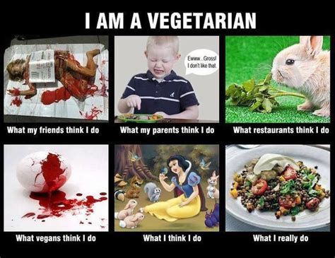 So True P Vegetarian Humor Vegetarian Memes Vegan Humor