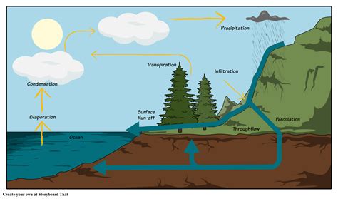 The Water Cycle Diagram Steps Pictures And Activities