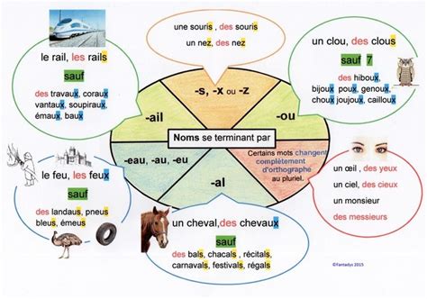 Le FÉminin Et Le Pluriel Des Noms Le Français Fle Pluriel Des