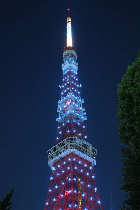 Wallpaper Night Skyscraper Tower Christmas Tree Tokyo Fujifilm