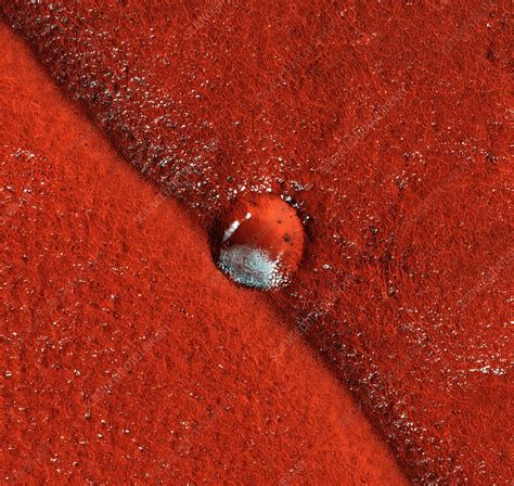 Martian Impact Crater Satellite Image Stock Image C0042921