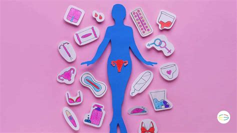 Hormonas Y Menstruaci N Qu Ocurre Durante El Ciclo Menstrual Essential Elements