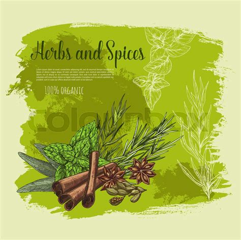 Vector Poster Of Spices And Herb Seasonings Stock Vector Colourbox