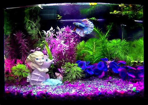 Mermaid Fish Tank Decorations 873×624 Aquarium Kleurrijk