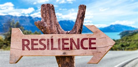 Resilience What Is It And Why Is It Important Five Star Resume
