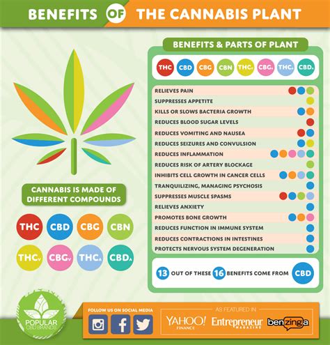 cannabinoids and your health infographic cbdoilreviews