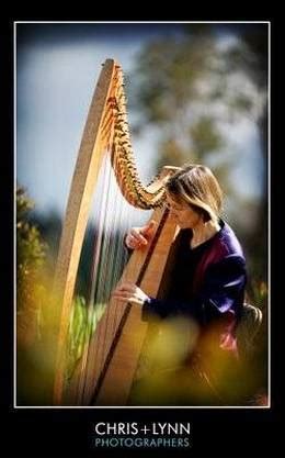 For those just dipping their toes into the fascinating world of music, a lever harp with 34 strings could come at anywhere between usd 4,000 to 8,000. Alison Vardy - Celtic Harpist on Vancouver Island - Alison ...