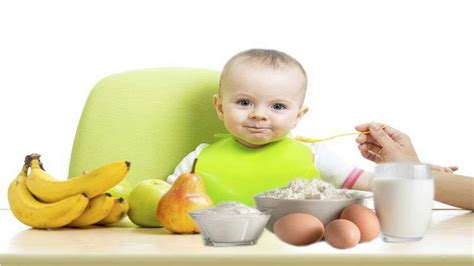 Vegetarian options in the protein. High Protein Foods for Babies - YouTube