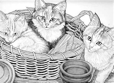 Cat coloring pages for adults can entertain young teens to adults for hours. Pin by cheryl hokkanen on katten | Grayscale coloring, Cat ...