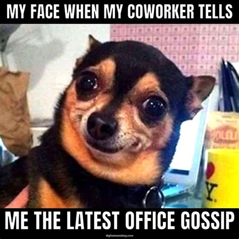 Office Gossip Meme Funny Coworker Memes Funny Monday Memes Funny