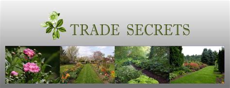 Trade Secrets 2017 Sharon Ct Greet The Season Rare Plant And Garden